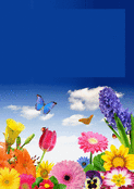 Fleurs color&eacute;es et papillons pour mamie
